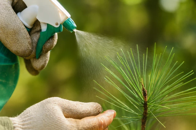 respect-environnement